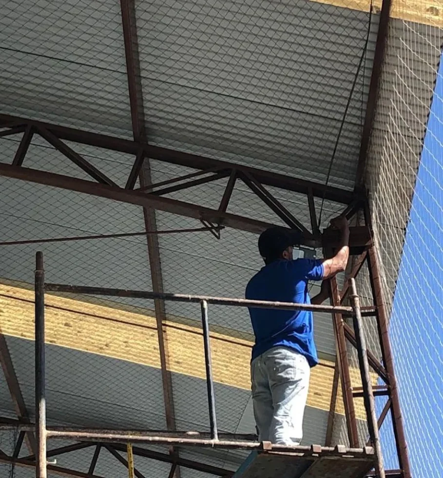Instalação de Telas Anti Pássaros Perto de Mim